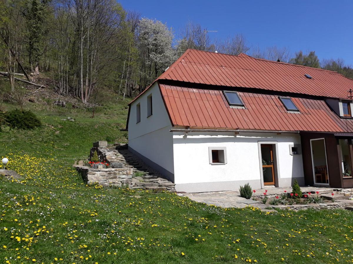 Pokoje Goscinne Thank You Life, Apartament 2 Forest For Rest Bystrzyca Klodzka Exterior photo